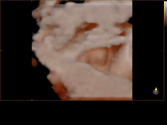 JULIA DE MELISA LIOTTI_0049.JPG